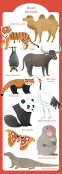 Ilustração Asian Animals