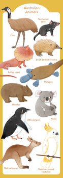 Ilustração Australian Animals