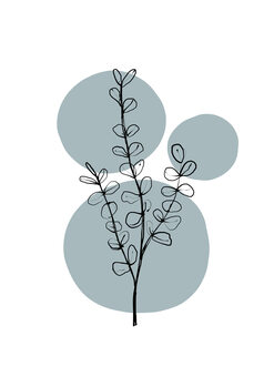 Ilustração Delicate Botanicals - Eucalyptus
