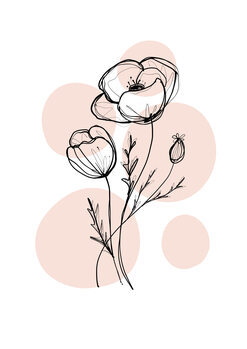 Ilustração Delicate Botanicals - Poppy