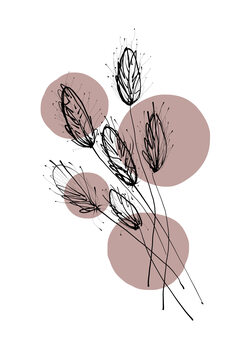 Ilustração Delicate Botanicals - Wheat