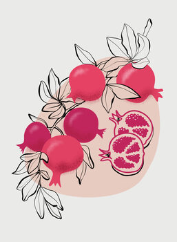 Illustration Fathia pomegranates