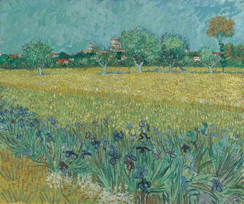 Fine Art Print Field with Flowers near Arles, 1888