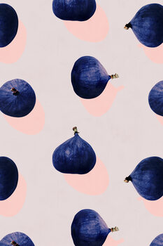 Illustration Fruit 16