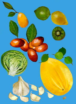 Fine Art Print Fruit & veggies 2020
