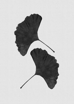 Ilustração Ginkgo Leaf Black & White II