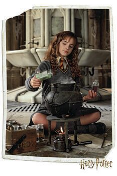 Canvas Print Harry Potter - Hermione Granger