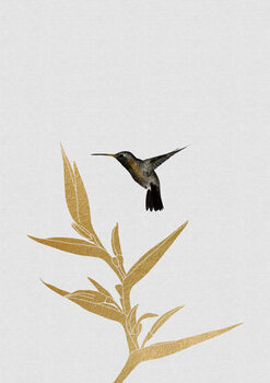 Canvas Print Hummingbird & Flower II