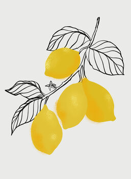 Canvas-taulu Lamya lemons