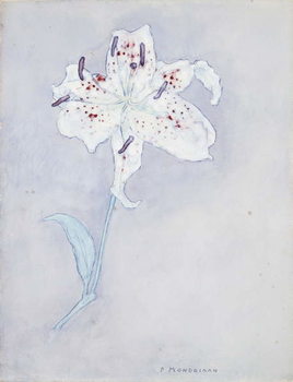 Canvas-taulu Lily, c.1920-25