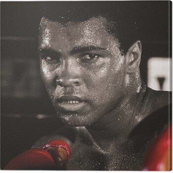 Canvas-taulu Muhammad Ali - Boxing Gloves