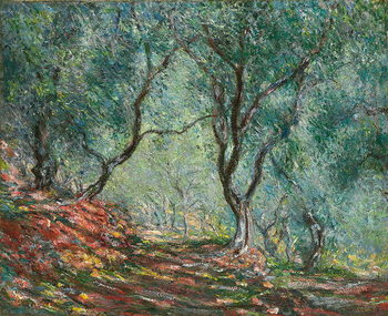 Wallpaper Mural Olive Trees in the Moreno Garden; Bois d'oliviers au jardin Moreno