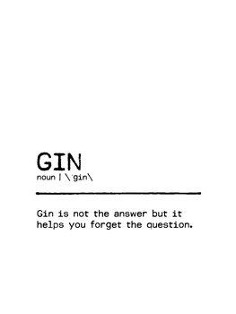 Ilustração Quote Gin Question