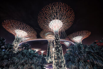 Taide valokuvaus Singapore Night