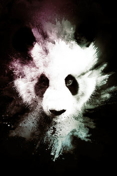 Canvas Print The Panda