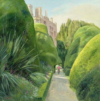 Fine Art Print The Topiary Path, Powis Castle