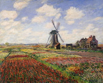 Canvas-taulu Tulip Fields with the Rijnsburg Windmill, 1886
