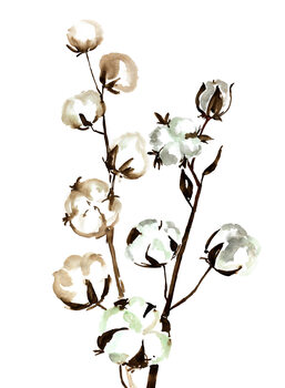 Ilustração Watercolor cotton branches
