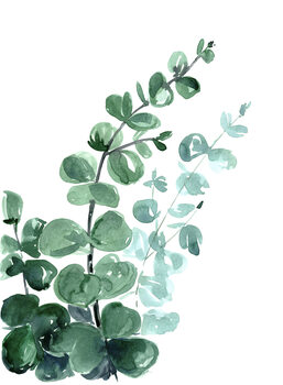 Tela Watercolor eucalyptus bouquet