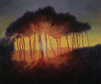 Fine Art Print Wild Trees at Sunset, 2002