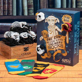 Advent calendar Harry Potter - Odd Socks