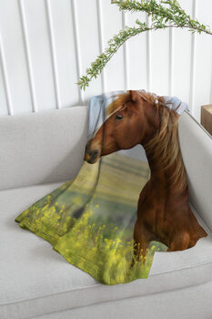 Cobertor Horse