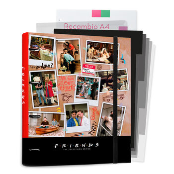 File Organizer Friends