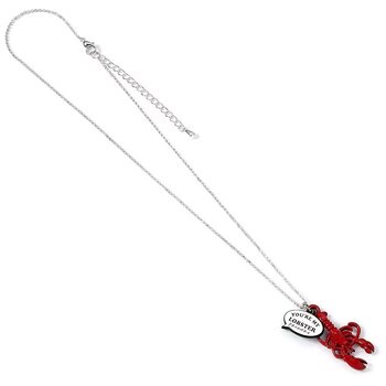 Necklace Friends - You’re my lobster Charm