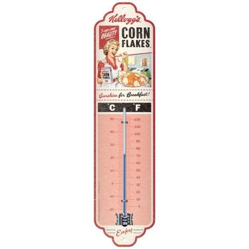 Thermometer