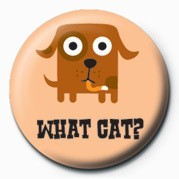 Merkki D&G (WHAT CAT?)