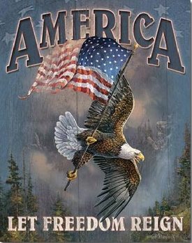 Metal sign AMERICA - let freedom reign