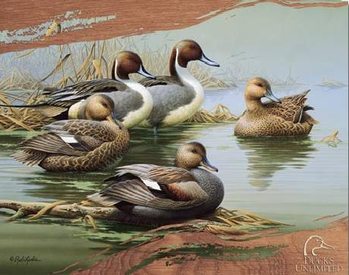 Metal sign DUCKS UNLIMITED - Morning