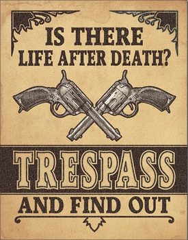 Metal sign Life After Death?
