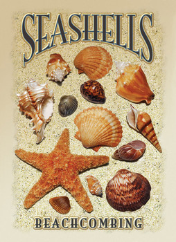 Metal sign SEASHELLS