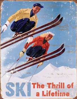 Metal sign Ski - Thrill of a Lifetime