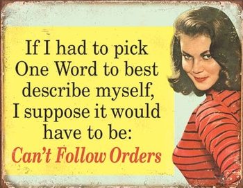 Ephemera - One Word to Describe Myself Metal Sign