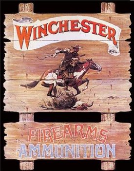 WIN - express rider Metal Sign