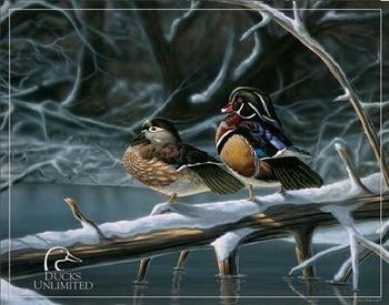 Metallikyltti DUCK UNLIMITED - interlude