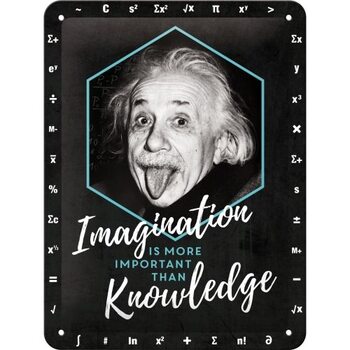 Metallikyltti Einstein Imagination & Knowledge