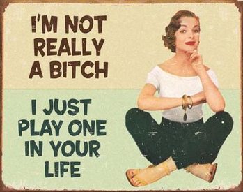 Metalni znak EPHEMERA - Not a Bitch