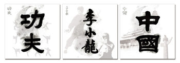 China Signs - Kung Fu. Bruce Lee, China Mounted Art Print