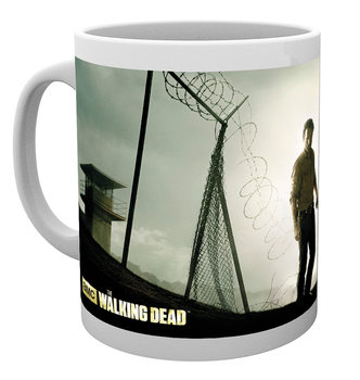 The Walking Dead Posters & Wall Art Prints