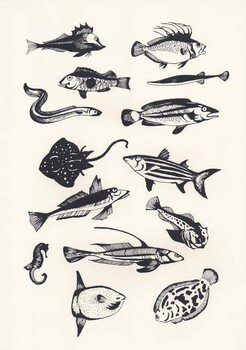 Murais de parede Monotone Plain Fish, 2015