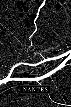 Принти на полотні Nantes black