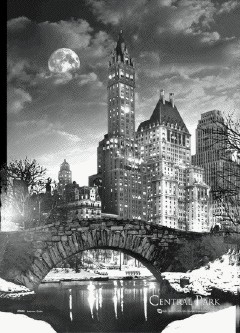 New York - central park - плакат (poster)