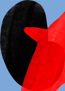 Slika na platnu night bird,2017,