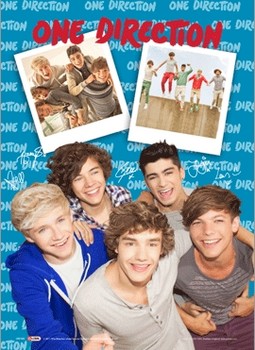 One Direction - polaroid - плакат (poster)