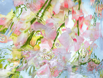 Μπλουζάκι Orchid under warter