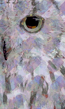 Принти на полотні Owl3