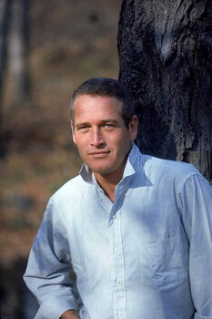 Принти на полотні Paul Newman Early 70'S